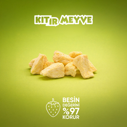 Kıtır Ananas Dilimleri