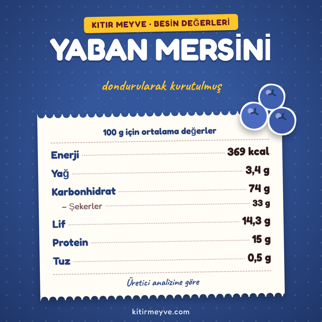 Kıtır Bütün Yaban Mersini